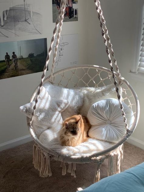 Hanging Swing Chair